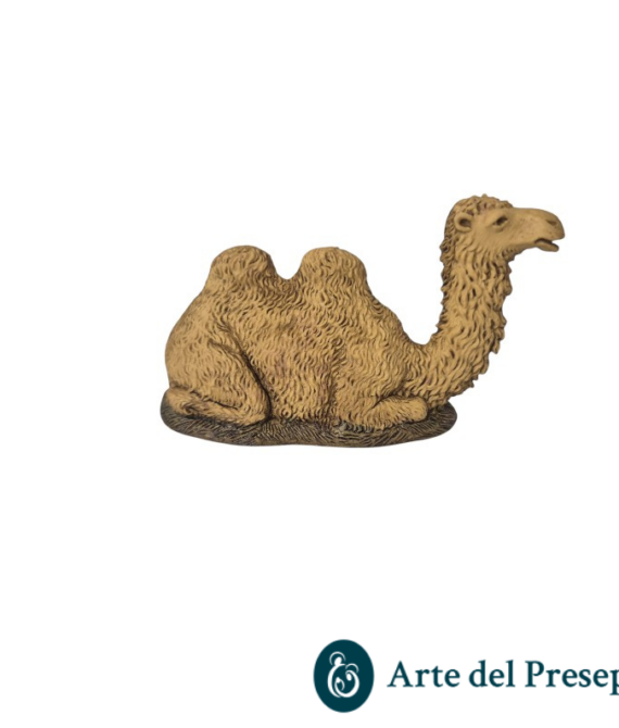 Cammello inginocchiato da 8cm 24/26