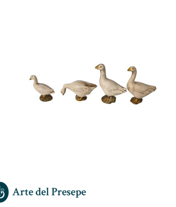 4 oche da 10cm 25/308