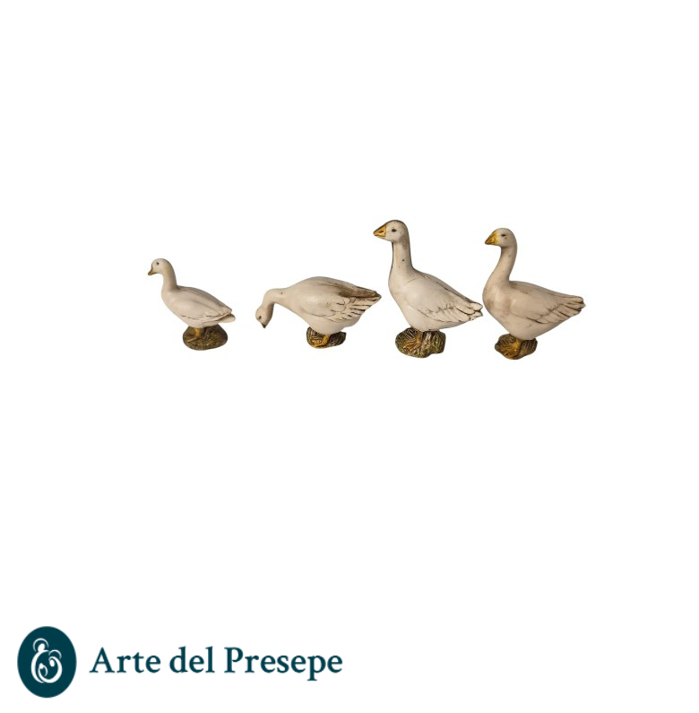 4 oche da 10cm 25/308