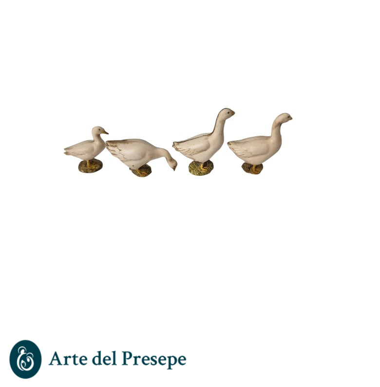 4 oche da 10cm 25/308 - immagine 3