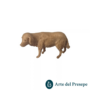 Cane da 6cm 207/26